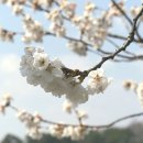 나산 이미지