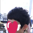 까끌레뽀끌레 이미지