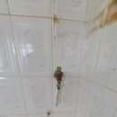 대덕가스(주) 이미지