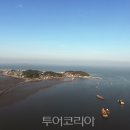 섬과 하루 이미지