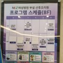 미즈라이프