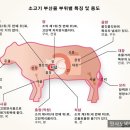 월야시장 이미지