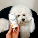 임프로동물병원 이미지