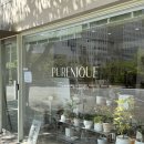 주정차-49 | 🪴거제 : 부산 거제동 꽃집 '퓨어니크 (PURENIQUE Flower &amp; Plant Studio)'
