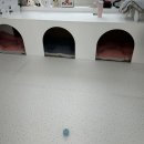 멈무는하루 이미지