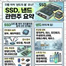 SSD 관련주 이미지