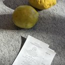 대단해농장 | 미슐랭 1스타 파인다이닝 <기가스 GIGAS> 내돈내산 후기(결론:감동)