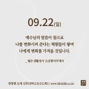 2024/9/22/성 김대건 안드레아 사제와 성 정하상 바오로와 동료 순교자들 대축일 경축 이동/추분 이미지