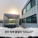 팔조리 | 경주 감포읍 CELL27 독채 풀빌라 펜션 내돈내산 후기