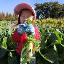 별하농장 이미지