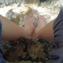 제일온천 이미지