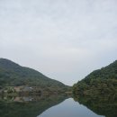 쑥부쟁이(용산저수지)둘레길 | 음성 용산저수지 둘레길/물의길