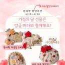 피다 케이크 이미지