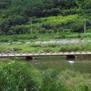 고와1교 이미지