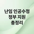 난임극복 임신성공을 위한 준비해야 할 모든 것 | 난임 인공수정 정부 지원 총정리: 비용부터 성공률까지