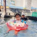 슬립리스인시애틀스파밸리점 | 대구 아이와 가볼만한곳 스파밸리 사계절 내내 놀기 좋은곳!