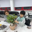 목련모자원 이미지