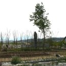 지당리 석불입상 이미지