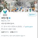 과천시청 이미지