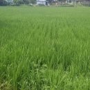 모야농장 이미지