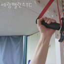 세광밸런스TC 이미지