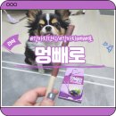 독스마캣 미사강변점 네이버블로그