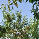 이가네농장 이미지