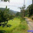 중천마을회관 이미지