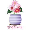 베스트아모레 이미지