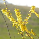 길인목장 이미지