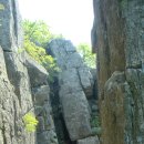 영남초교 이미지