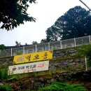 세량지 자판기 | 화순벽오동 보리밥정식맛집
