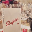 선사시대로 테마거리 | 시음회 후기｜'From Penfold's To World' 글로벌 브랜드 펜폴즈가 선사하는 특별한 와인 경험 루나...