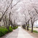 청송심씨 찰방공종택 이미지