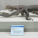 부산해양자연사 박물관