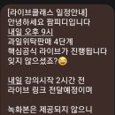팜피디