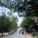 용인 동백 카페 히든오아시스 용인동백점 솔직 후기