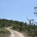 국도2호선 이미지