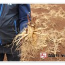 참살이농원 이미지