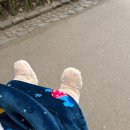 세븐일레븐 울돌점 | 12개월 돌 아기랑 일본 교토 여행 🤍