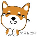 뉴욕쟁이디저트강원대점 이미지