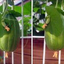 논현초등학교 이미지