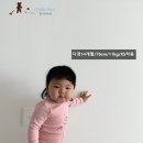 꿀꾸리