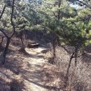호랭이 어슬렁길 이미지