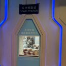 케이케이스튜디오 | [마카오홍콩] 스튜디오시티 워터파크에 관한 모든 것 - 가는 법, 놀이시설, 어메니티, 간식 등