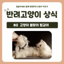 달봉이네 대연점 이미지
