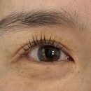 월드피아상가 | 김해속눈썹펌 잘하는 곳 찾는다면 제이뷰 후기