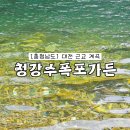 대전 근교 계곡 물놀이 하기 좋은 충청도 금산 청강수폭포가든 평상대여 후기
