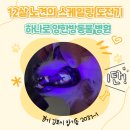 롯데동물병원 | 김포 장기동 [하나로 양한방동물병원] 내돈내산 스케일링 후기