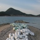 하송도 Daum백과